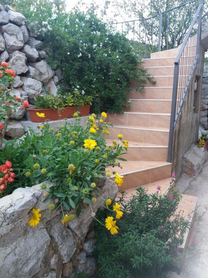Apartment Valun1